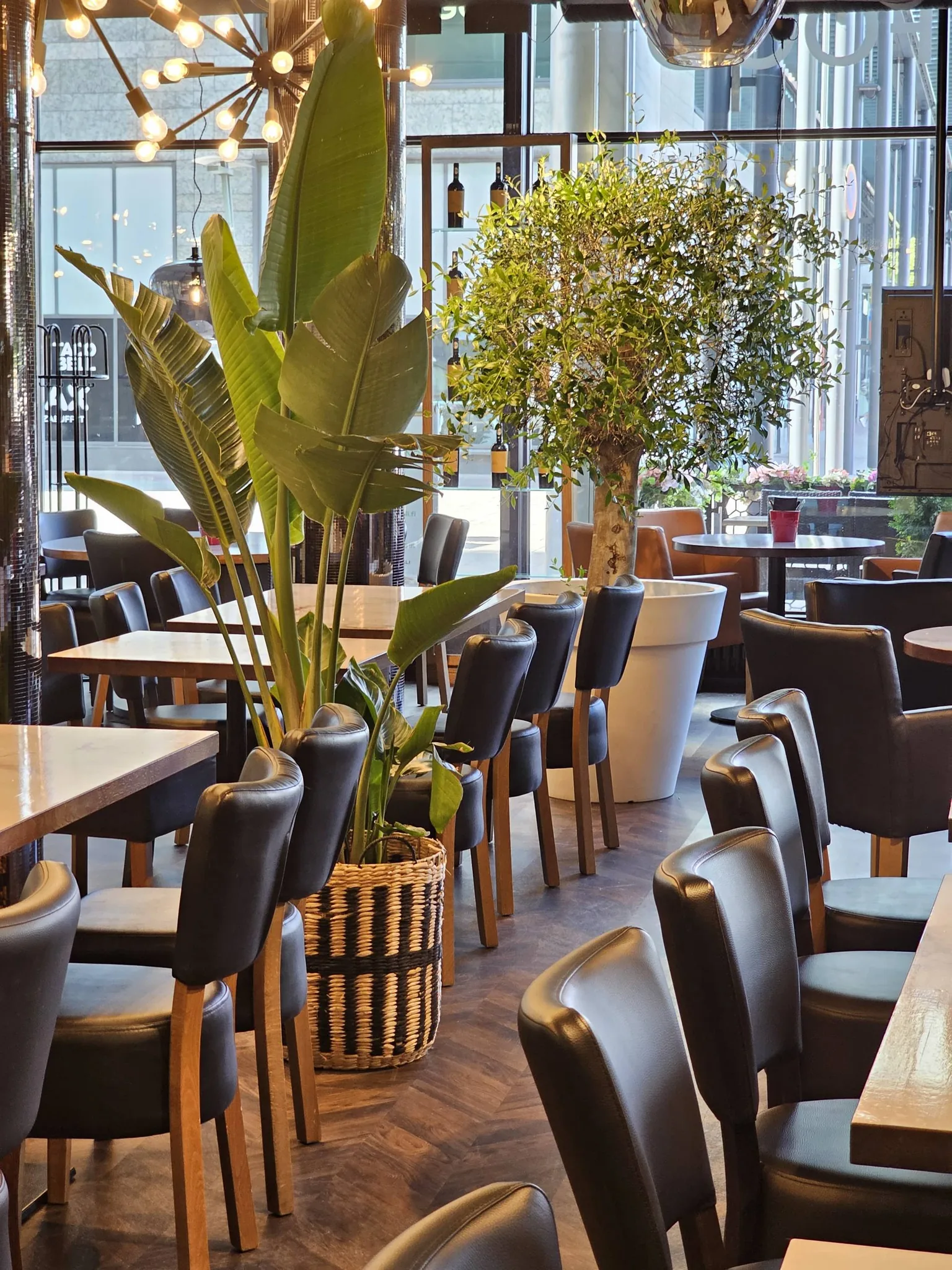 Wine & Tapas Helsinki